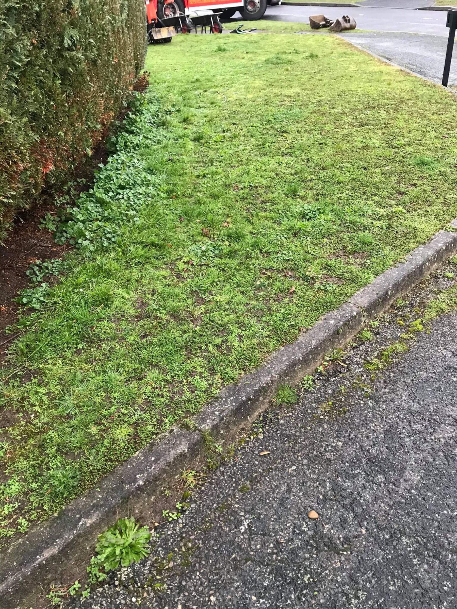 Gravel drive – before