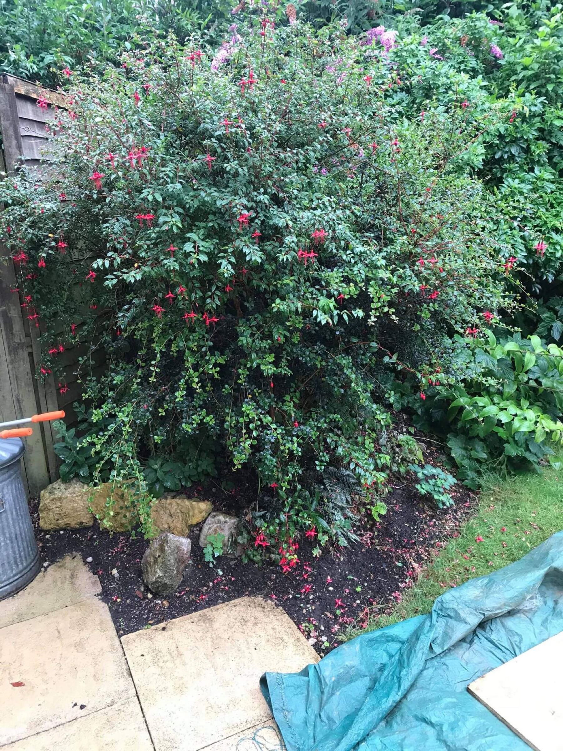 Shed base – before