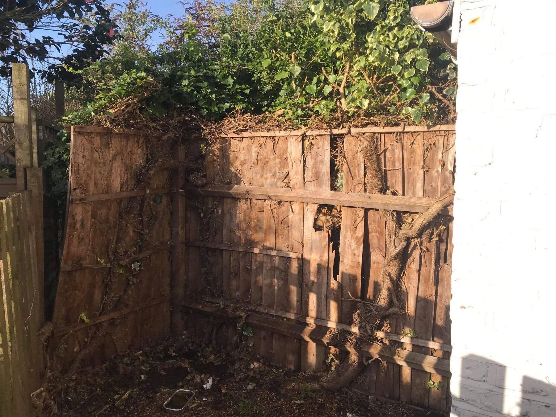 Fence – before